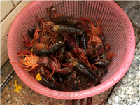 曝光不良商贩，请大家小心！