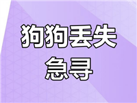 寻狗启示：棕白色狗在乾隆现代城不见了，热心的朋友们如有见到麻烦至电，非常感谢！